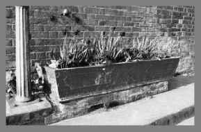 The stolen trough from Woolhampton - where is it now?